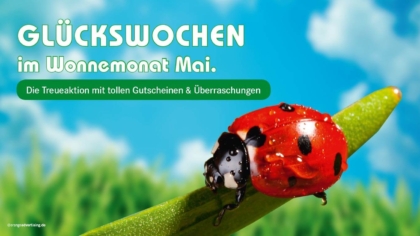 Mailing mit Marienkäfer – Glückswochen im Mai