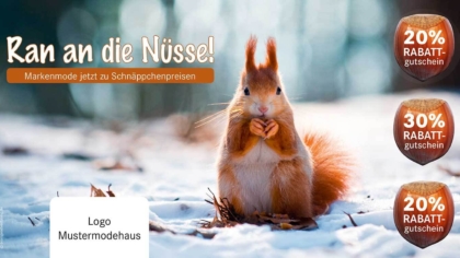 Mailing Eichhörnchen Ran an die Nüsse